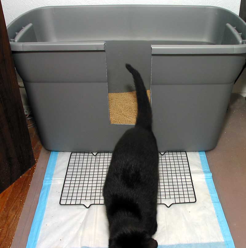 dog litter box for large dogs