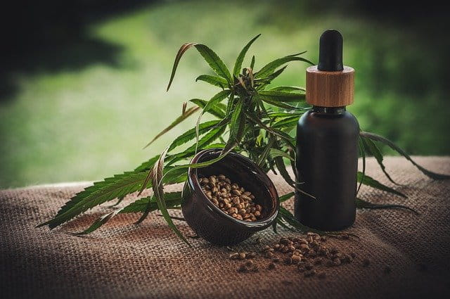 5 Reasons Why CBD Could Be Good for Your Cat