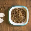 What Are The Benefits Of Using Organic Dehydrated Dog Food?