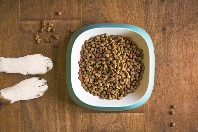 What Are The Benefits Of Using Organic Dehydrated Dog Food?
